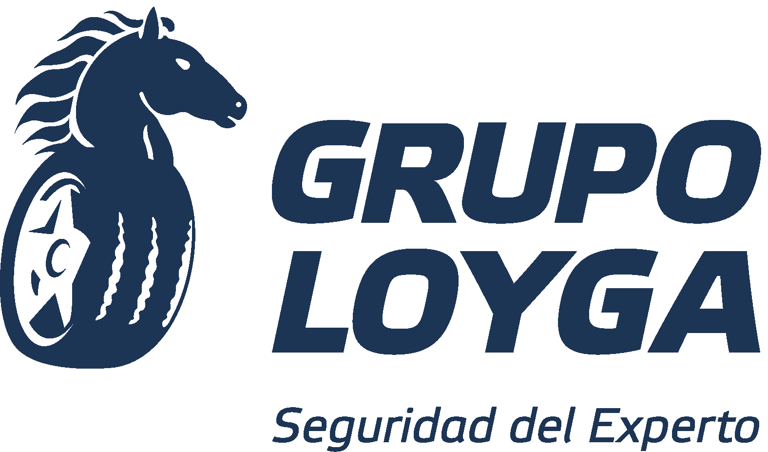 logo-footer